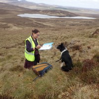 A September Walk: Wildlife and Plants Around the Site A September Walk: Wildlife and Plants Around the Site