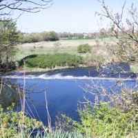 The Leven Programme identified as potential model for global green recovery The Leven Programme identified as potential model for global green recovery