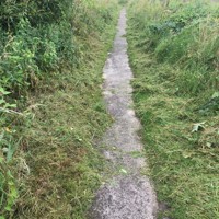 Work underway to clear footpaths within Levenmouth