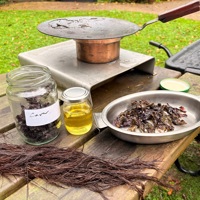 Branching Out: Connecting with Nature and Wellbeing in Fife