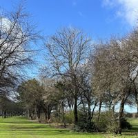 River Leven Path Projects: What’s Happening and What to Expect 