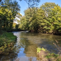 Leven River Park: Nature Network 'Apple Day' event Leven River Park: Nature Network 'Apple Day' event