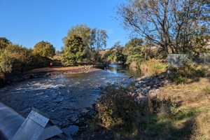 Restoring the River Leven